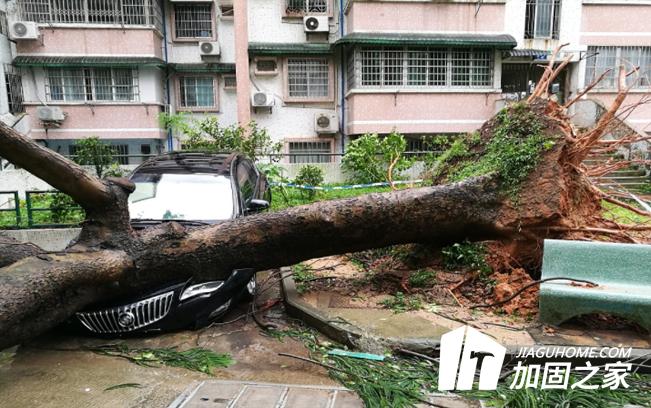 臺(tái)風(fēng)“山竹”對(duì)建筑物造成多大的影響？